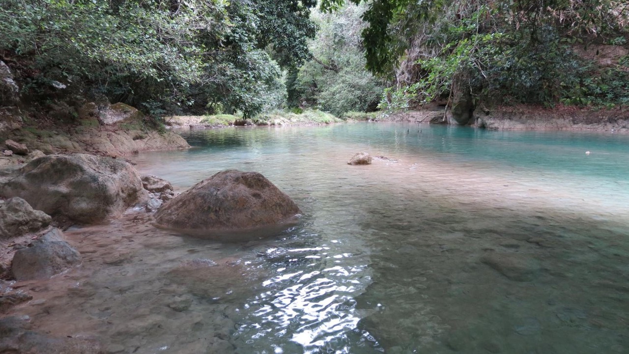 Photo of Others in El Naranjo