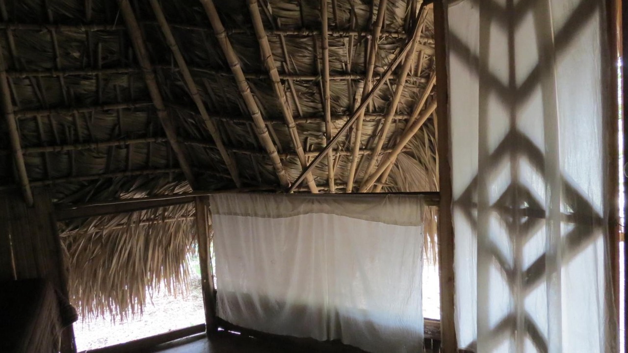 Photo of Others in El Naranjo