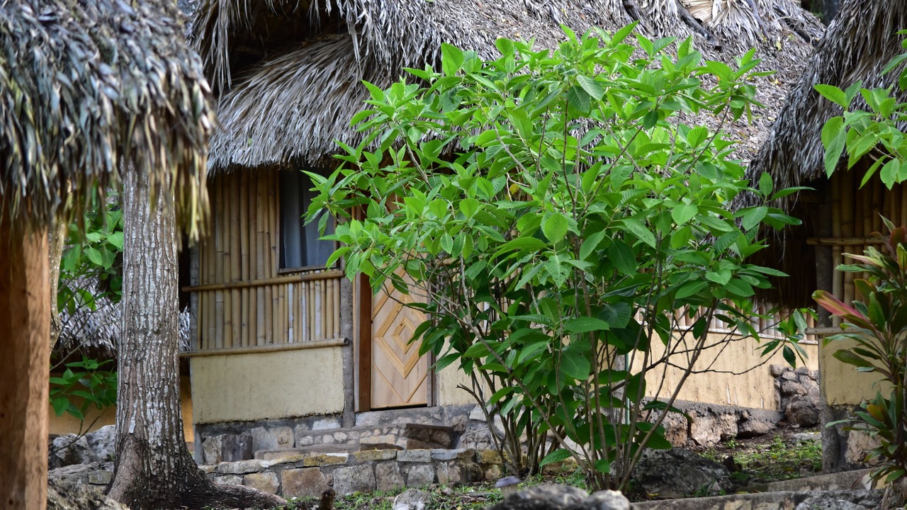 Photo of Outdoor in El Naranjo