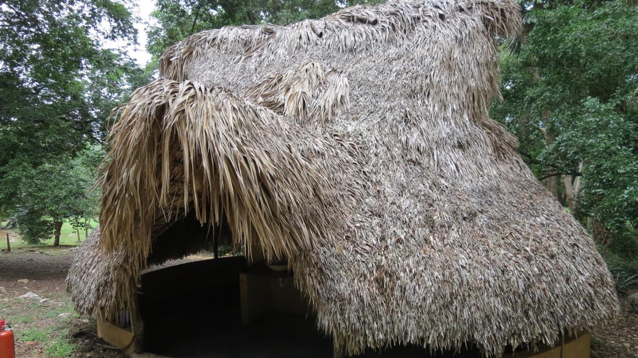 Photo of Outdoor in El Naranjo