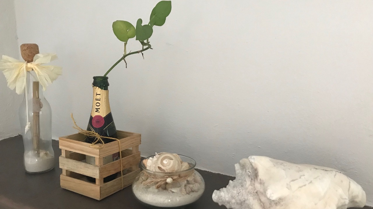 Photo of Outdoor in Alfredo V. Bonfil