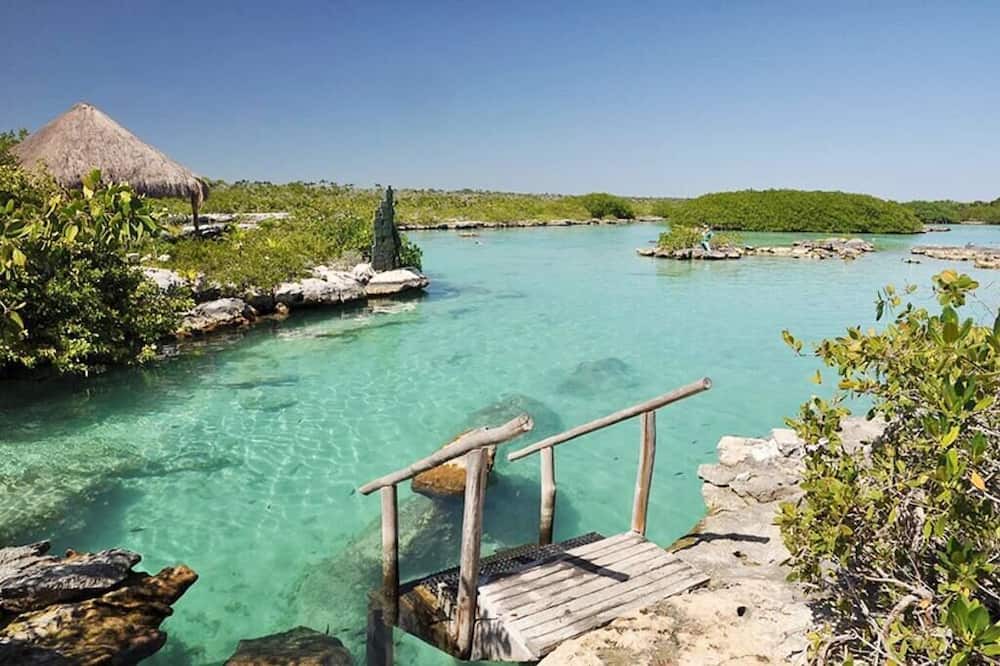 Photo of Others in Akumal