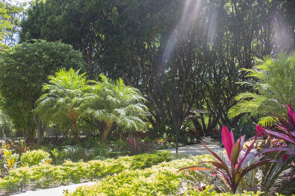 Photo of Outdoor in Tlaquiltenango