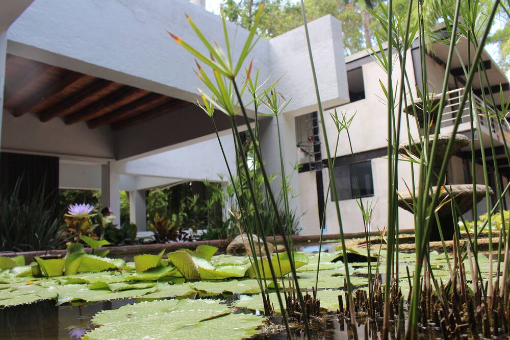Photo of Outdoor in Tlaquiltenango