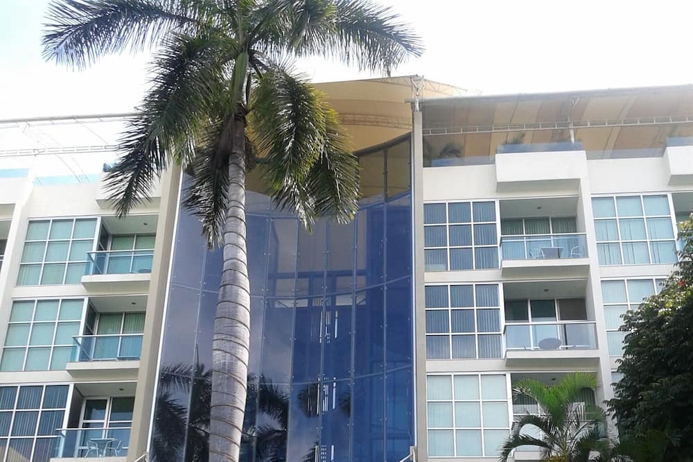 Photo of Outdoor in Jacarandas