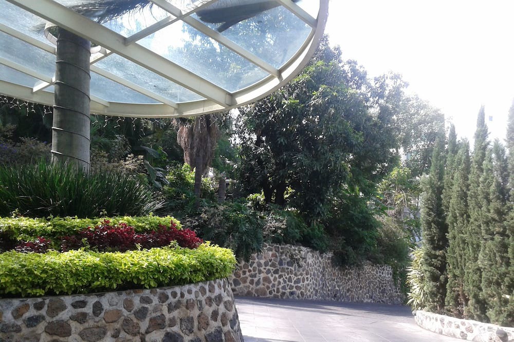 Photo of Outdoor in Jacarandas