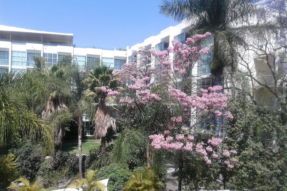 Photo of Outdoor in Jacarandas
