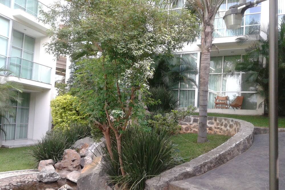 Photo of Outdoor in Jacarandas