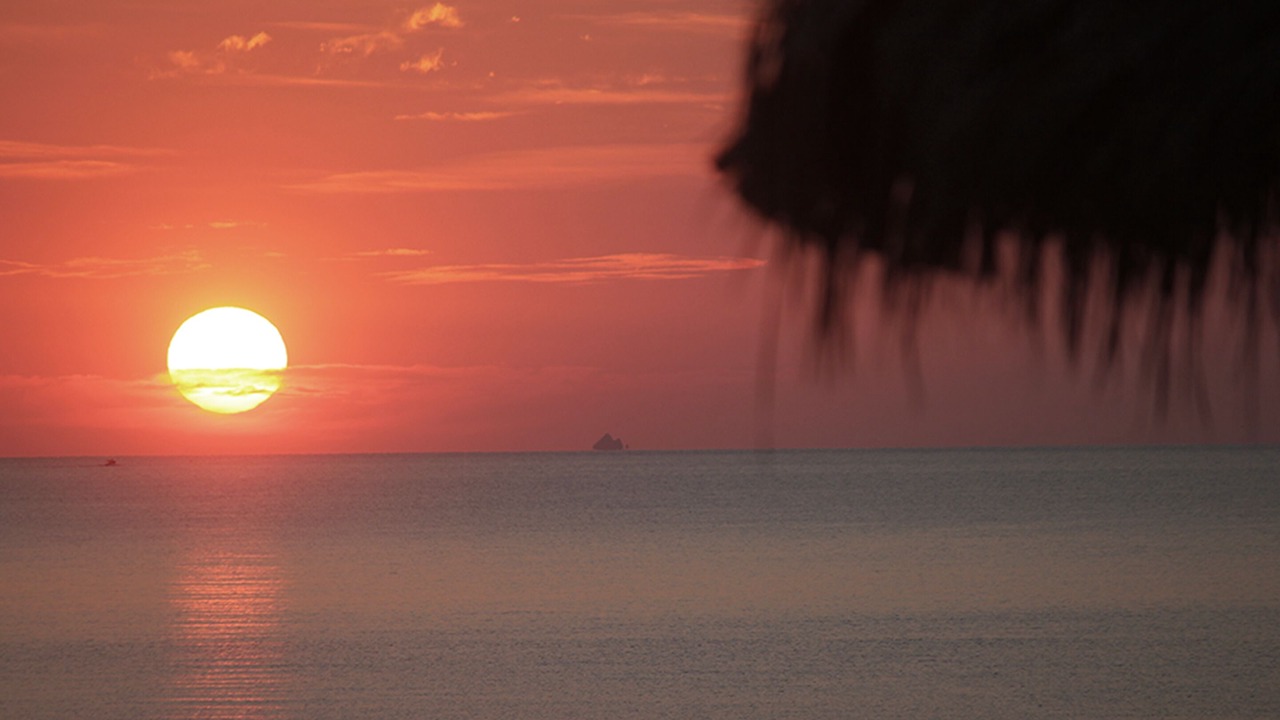 Photo of Others in San Felipe