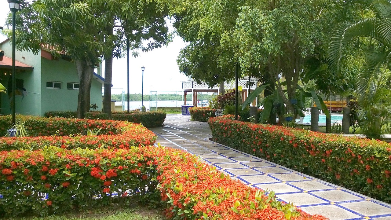 Photo of Outdoor in San Blas