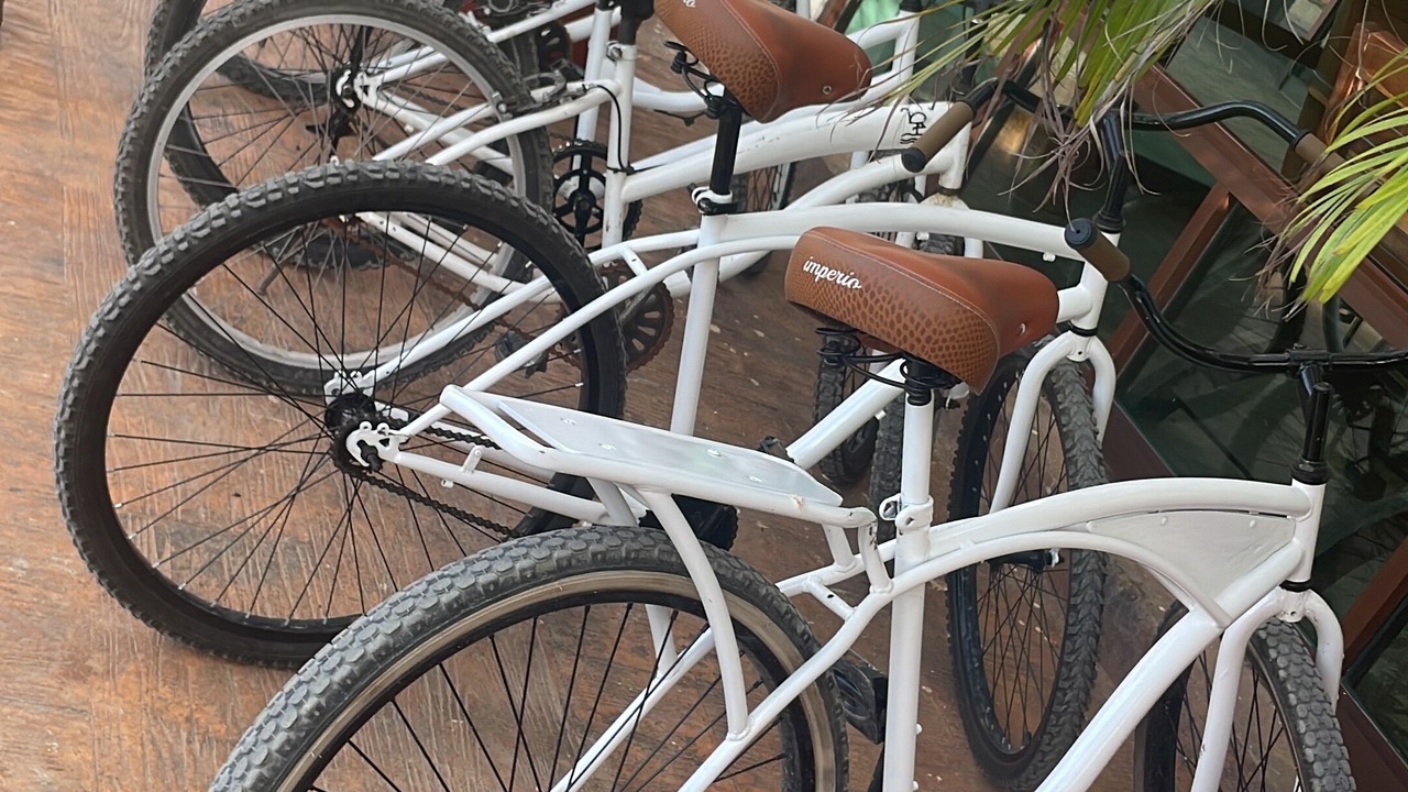 Photo of Outdoor in Rio Lagartos
