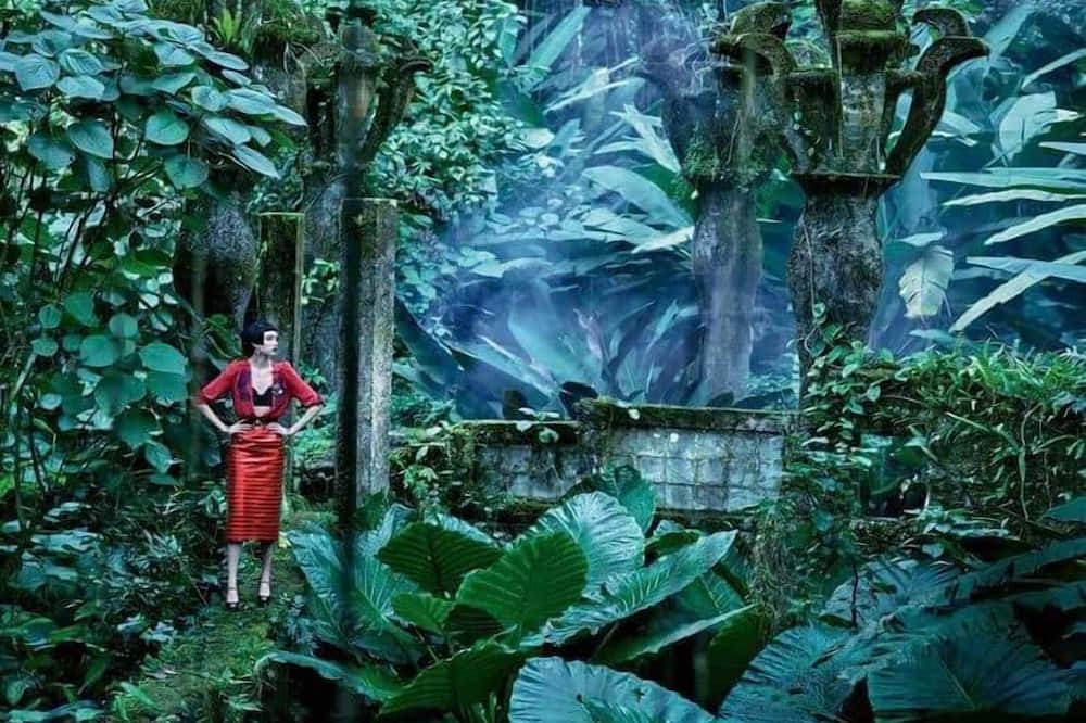 Photo of Others in Xilitla