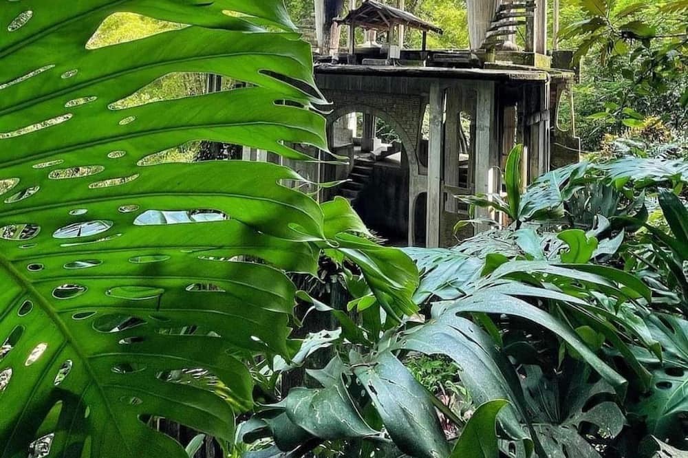 Photo of Others in Xilitla