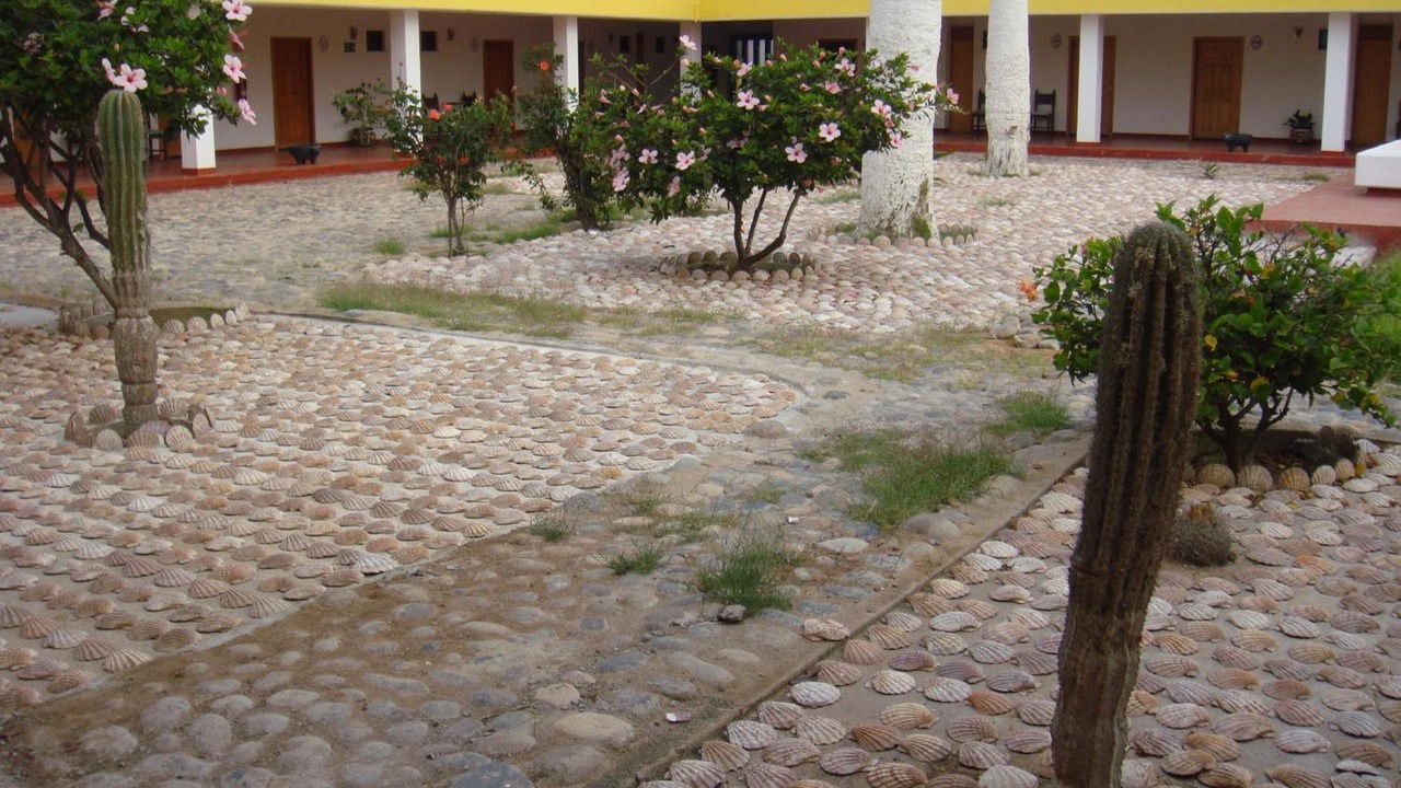 Photo of Outdoor in Guerrero Negro