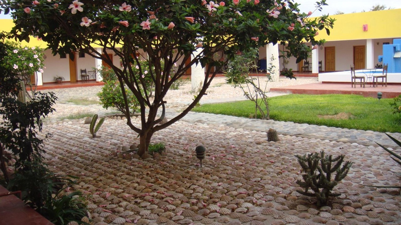 Photo of Outdoor in Guerrero Negro
