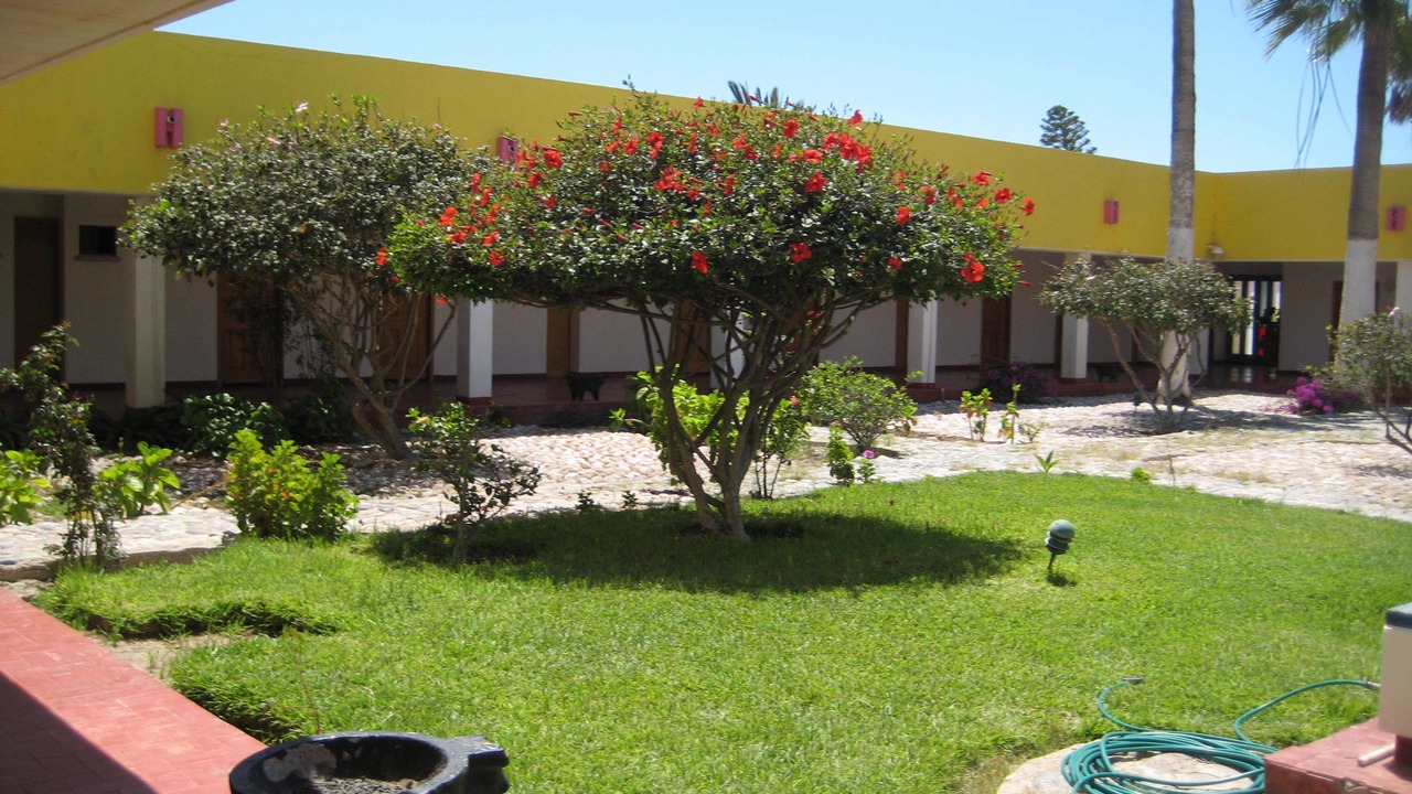 Photo of Outdoor in Guerrero Negro