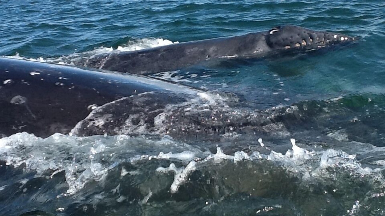 Photo of Outdoor in Guerrero Negro