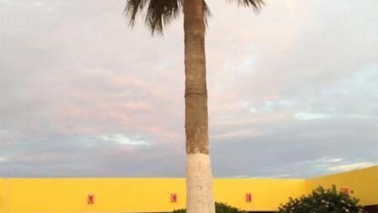 Photo of Outdoor in Guerrero Negro
