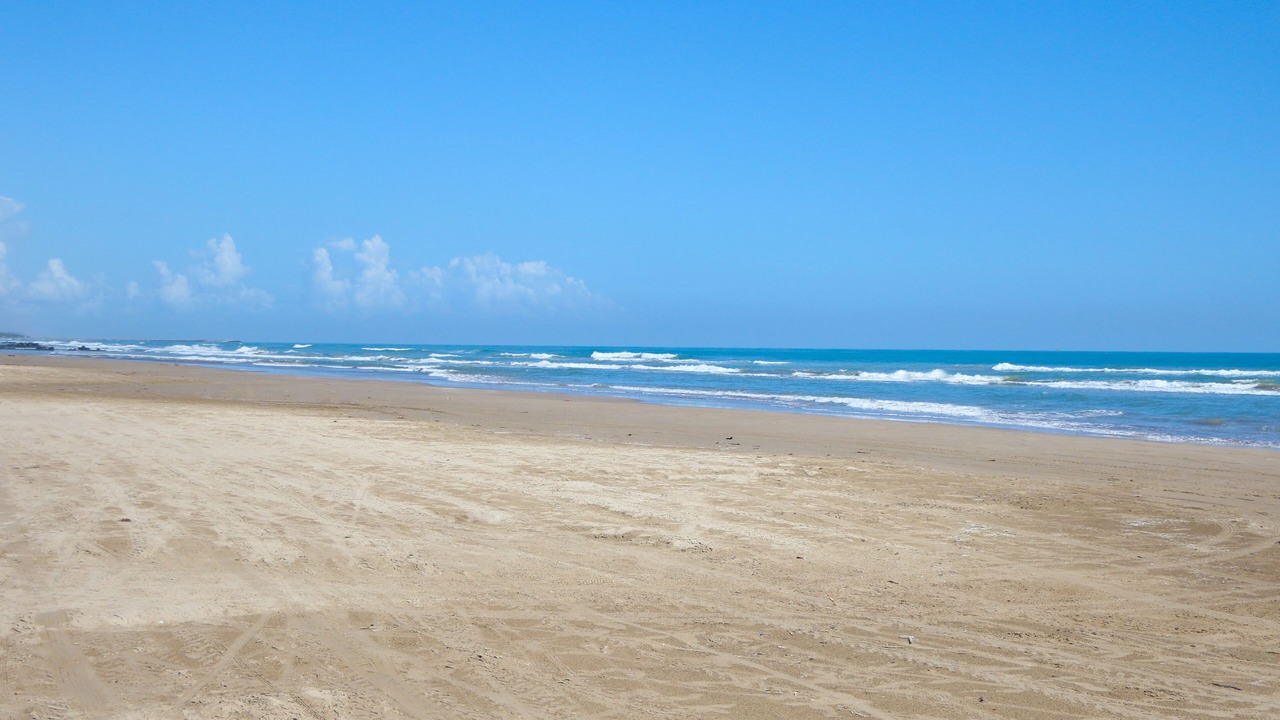 Photo of Others in Tuxpan