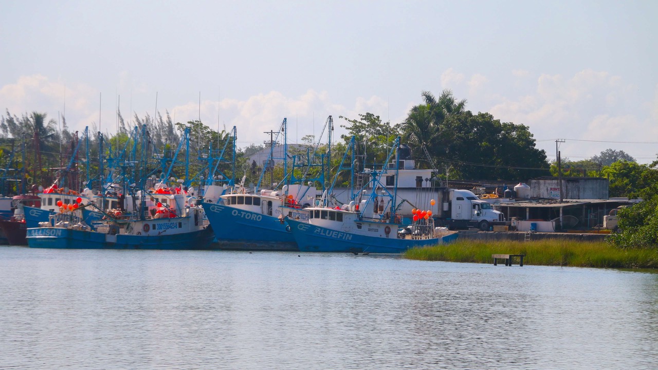 Photo of Others in Tuxpan