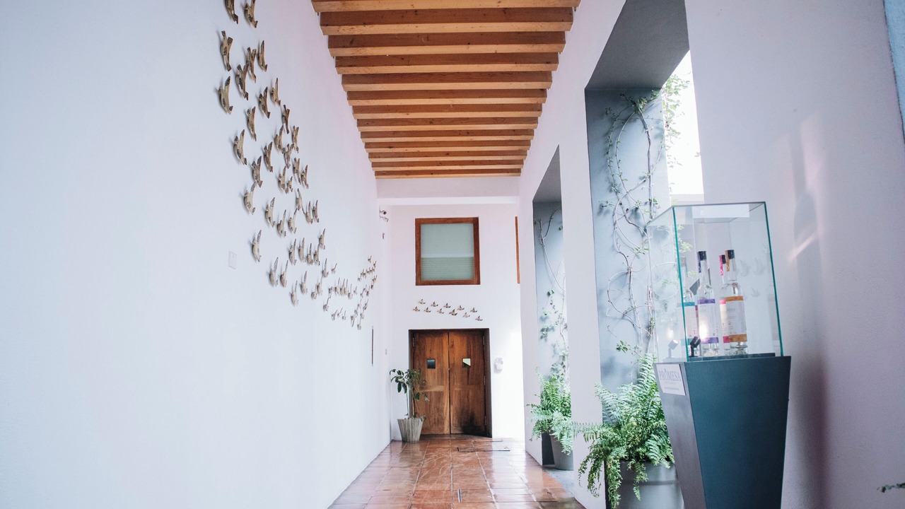 Photo of Outdoor in Historic Centre of Puebla