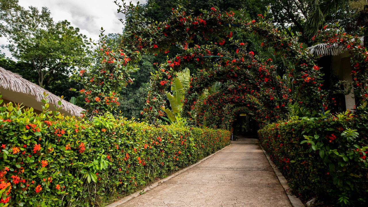 Photo of Outdoor in Palenque