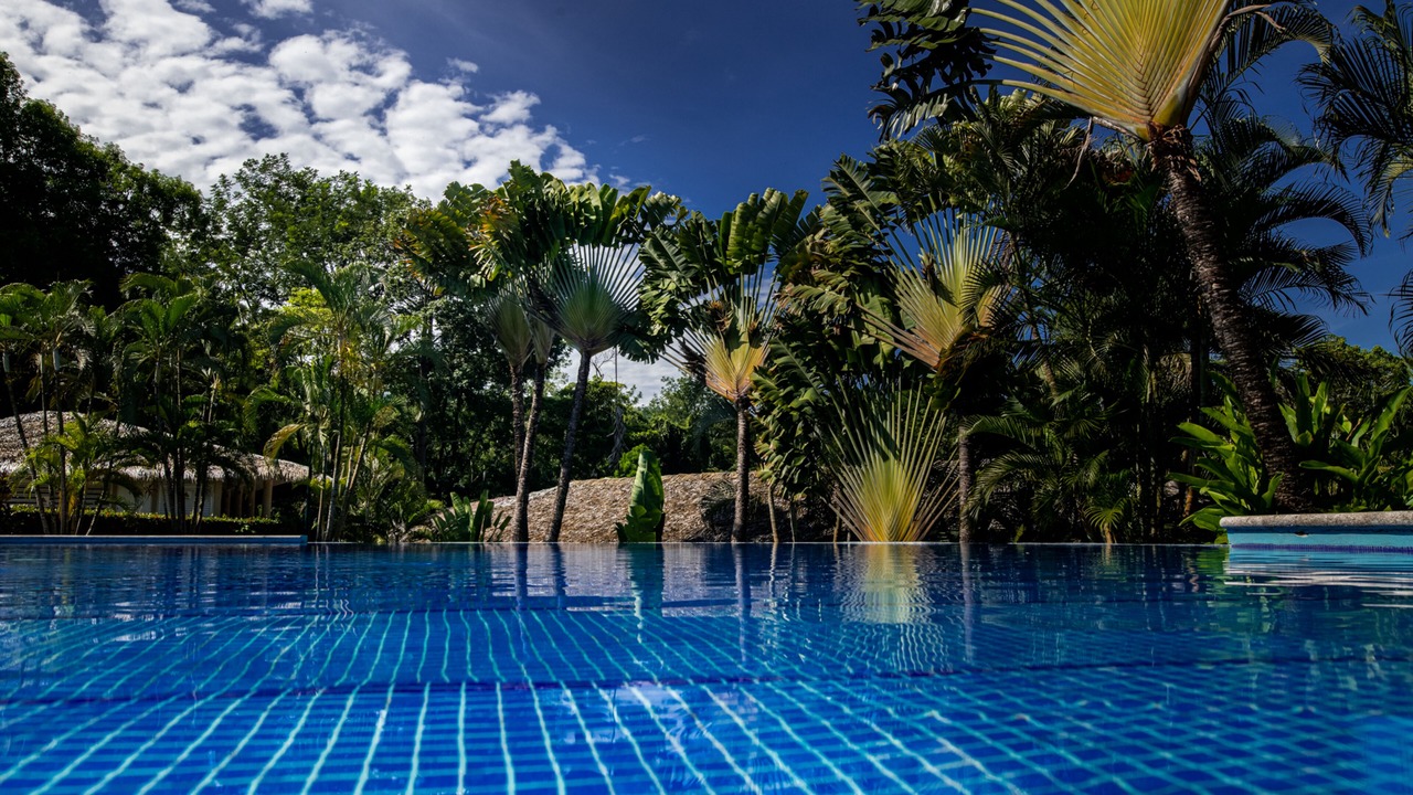 Photo of Outdoor in Palenque