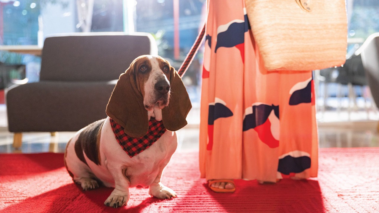 Photo of Others in Cuernavaca