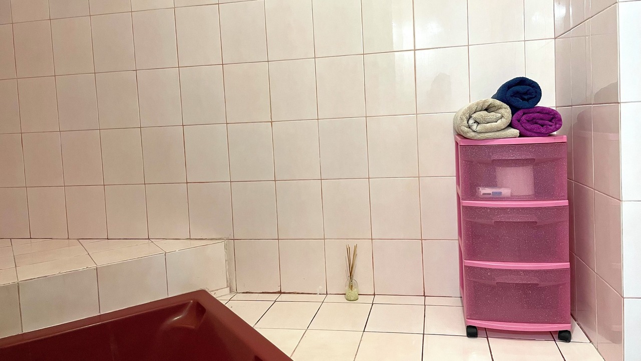 Photo of Bathroom in Downtown Mazatlan