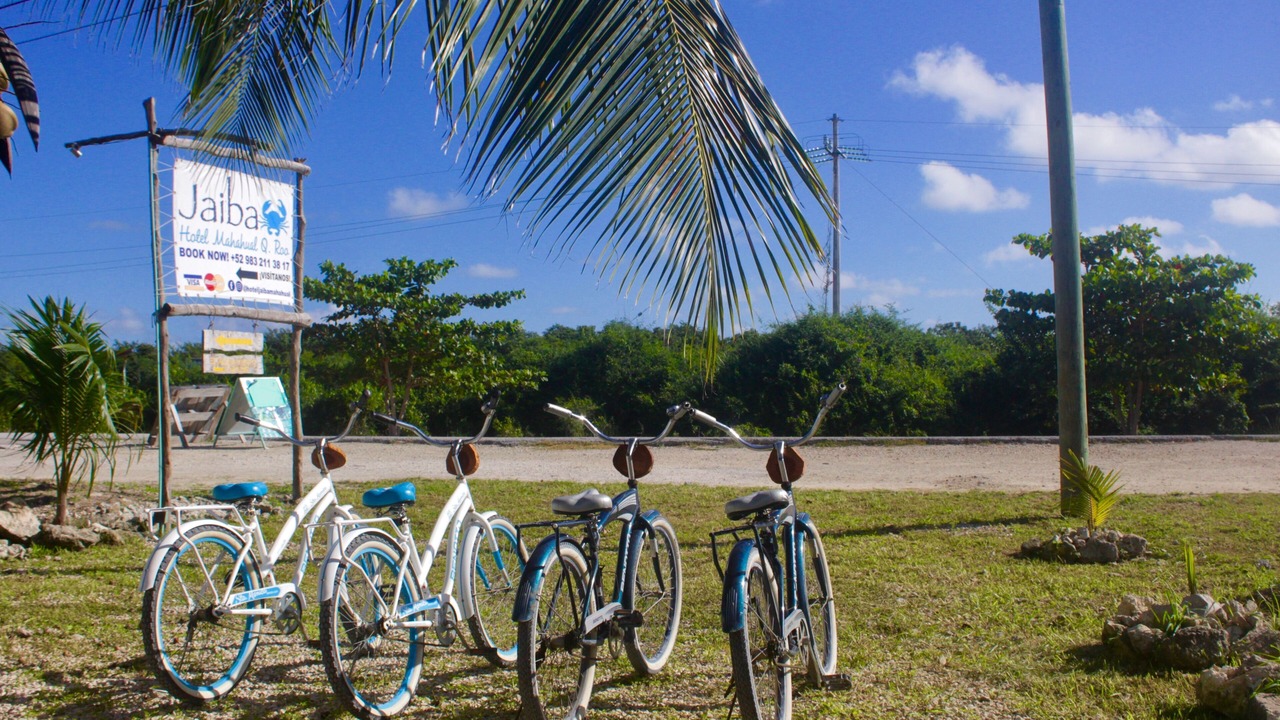 Photo of Outdoor in Majahual