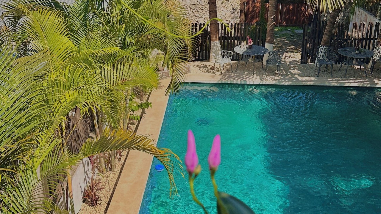Photo of Outdoor in Majahual