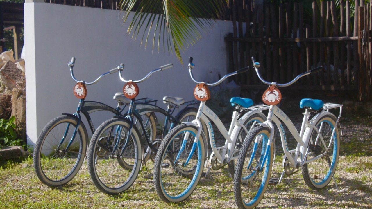 Photo of Outdoor in Majahual