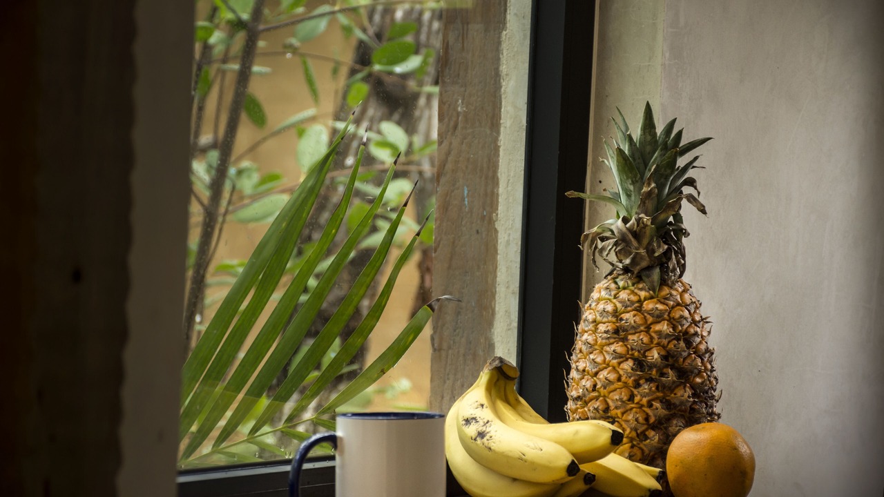 Photo of Bedroom in Zona Hotelera