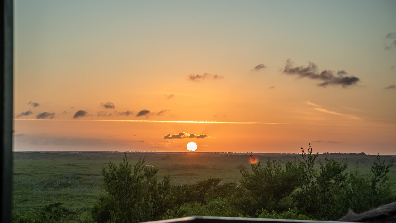 Photo of Outdoor in Zona Hotelera