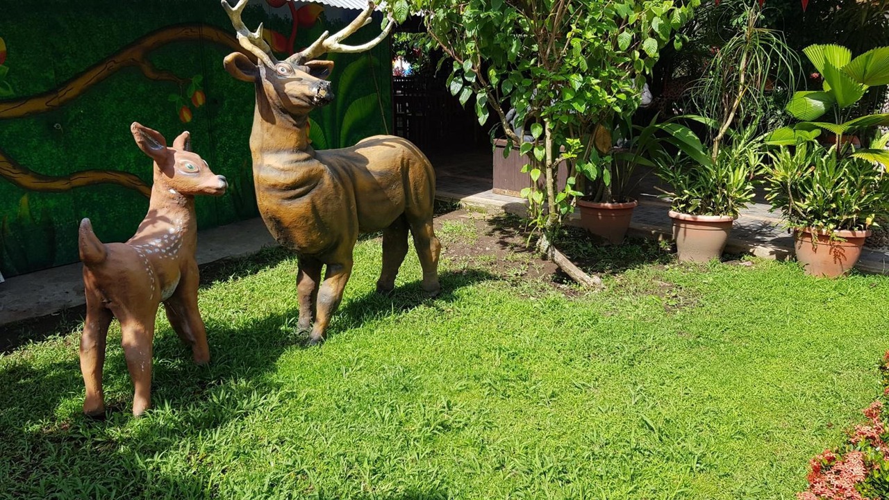 Photo of Outdoor in Tuxtla Chico