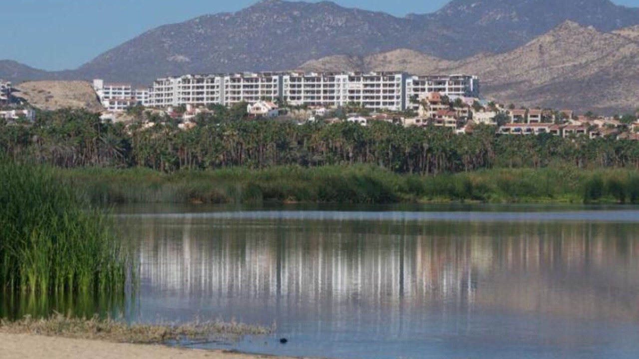 Photo of Others in Downtown San Jose del Cabo