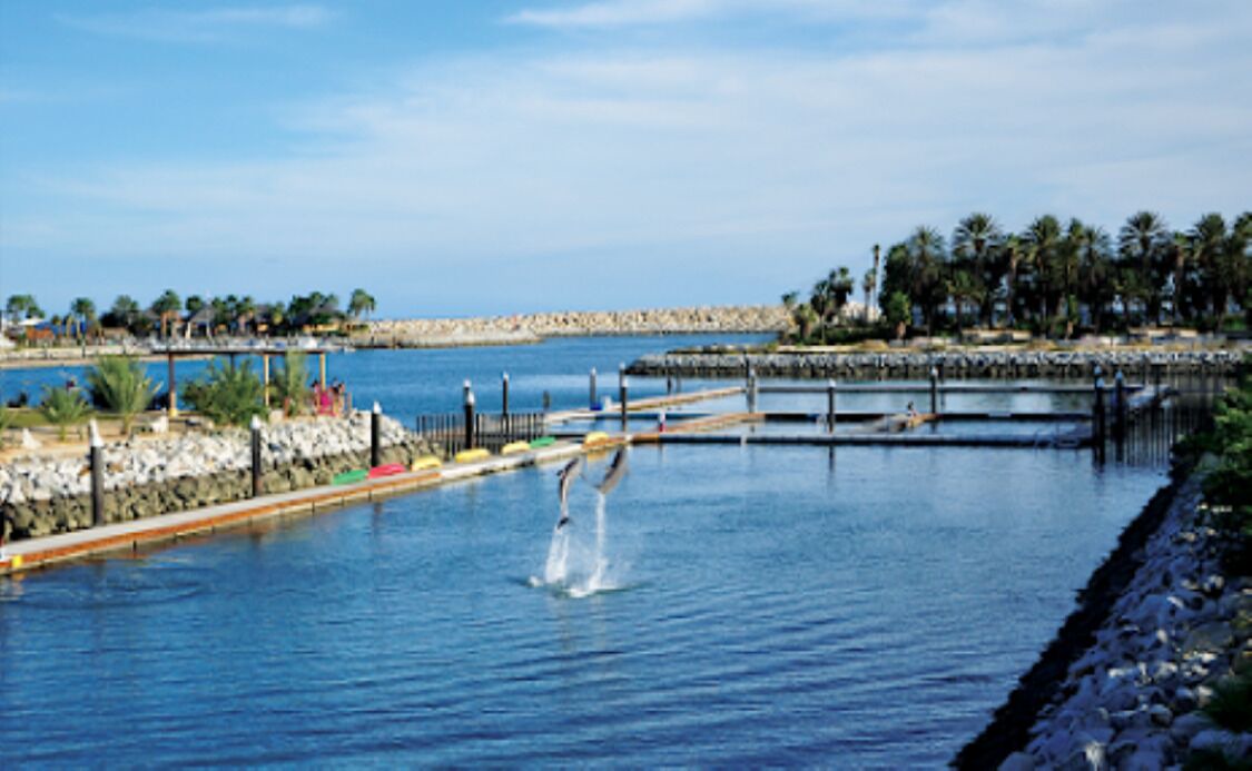 Photo of Outdoor in Downtown San Jose del Cabo