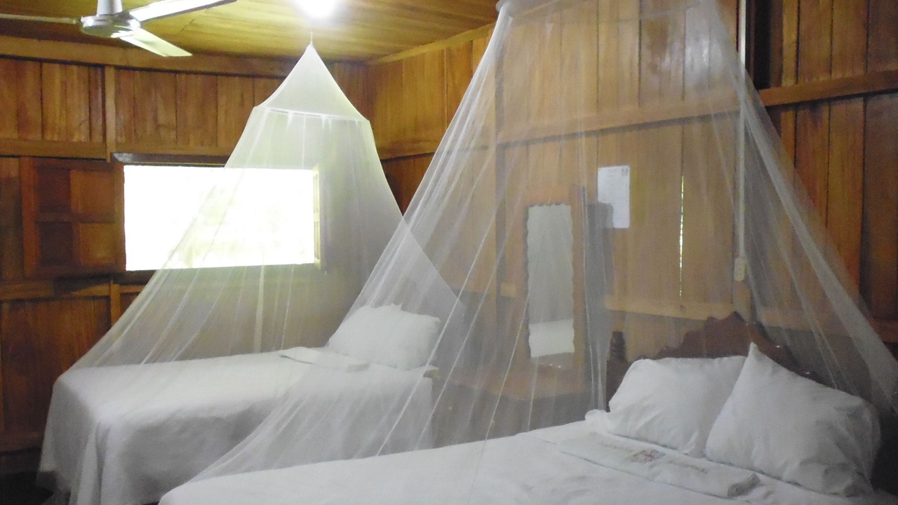 Photo of Bedroom in Frontera Corozal