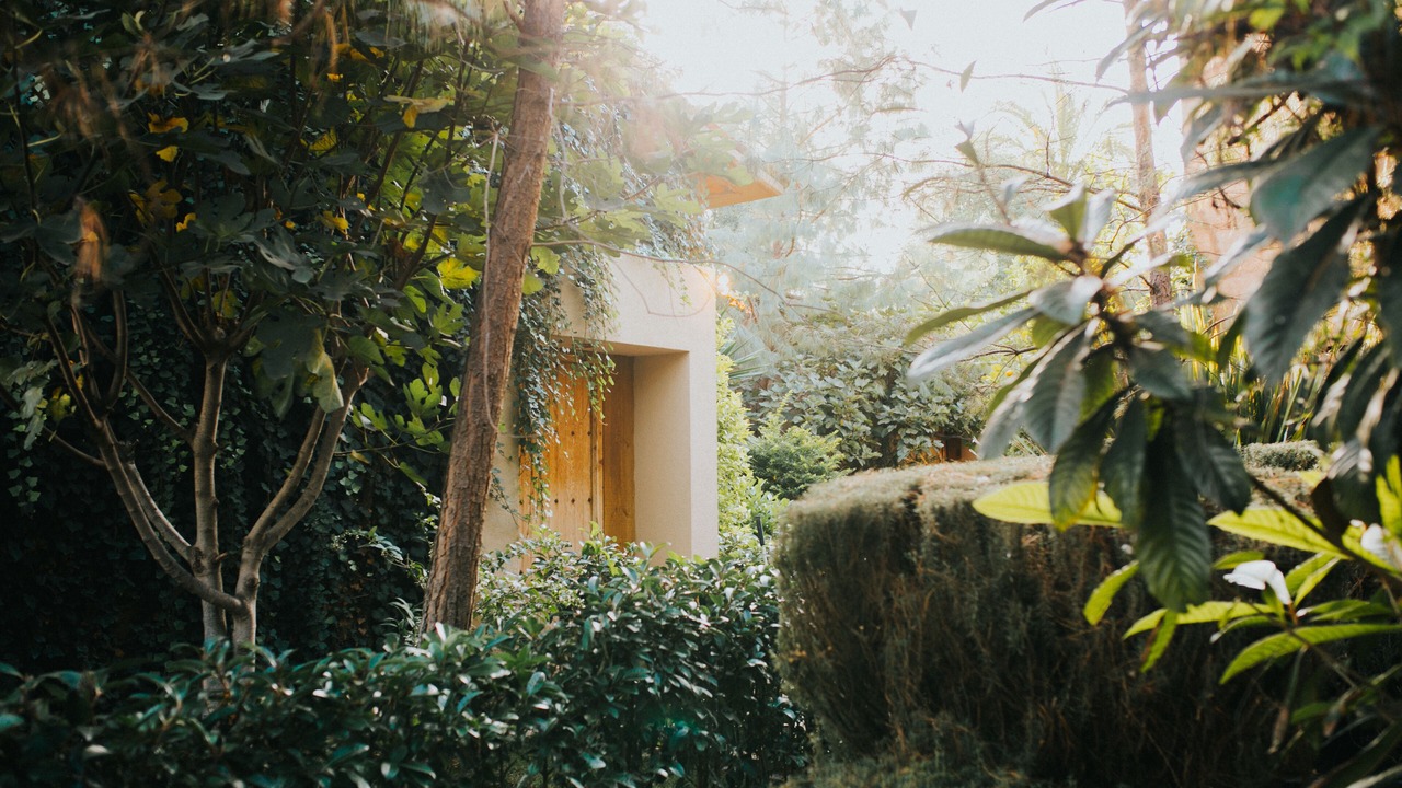 Photo of Outdoor in El Marques