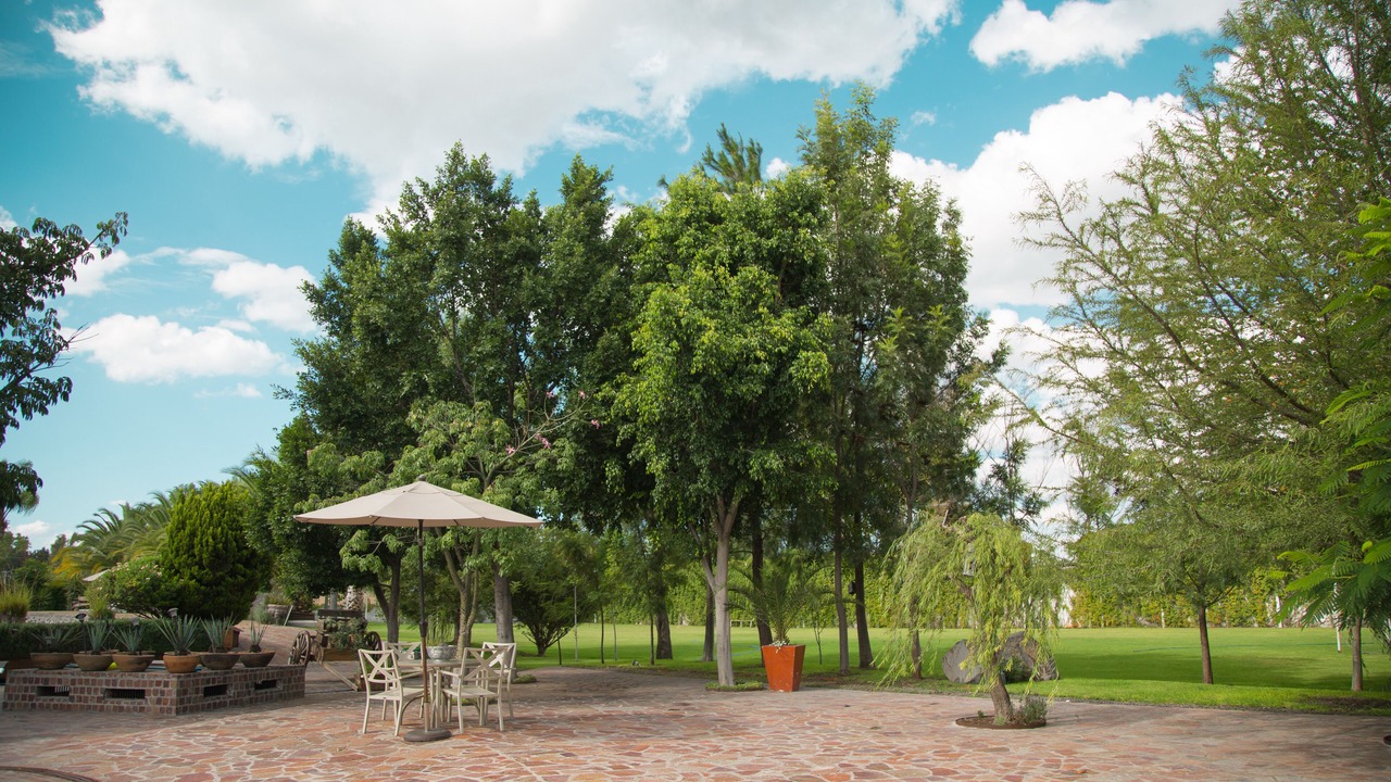 Photo of Outdoor in El Marques