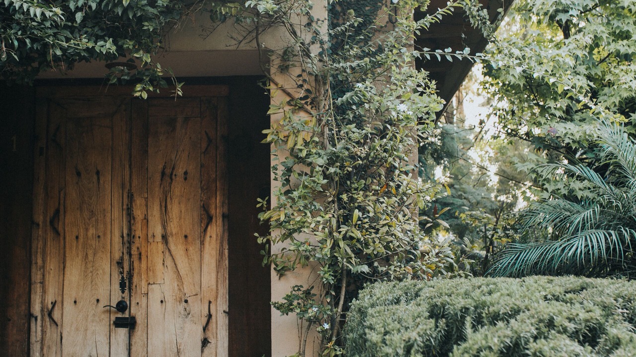 Photo of Outdoor in El Marques