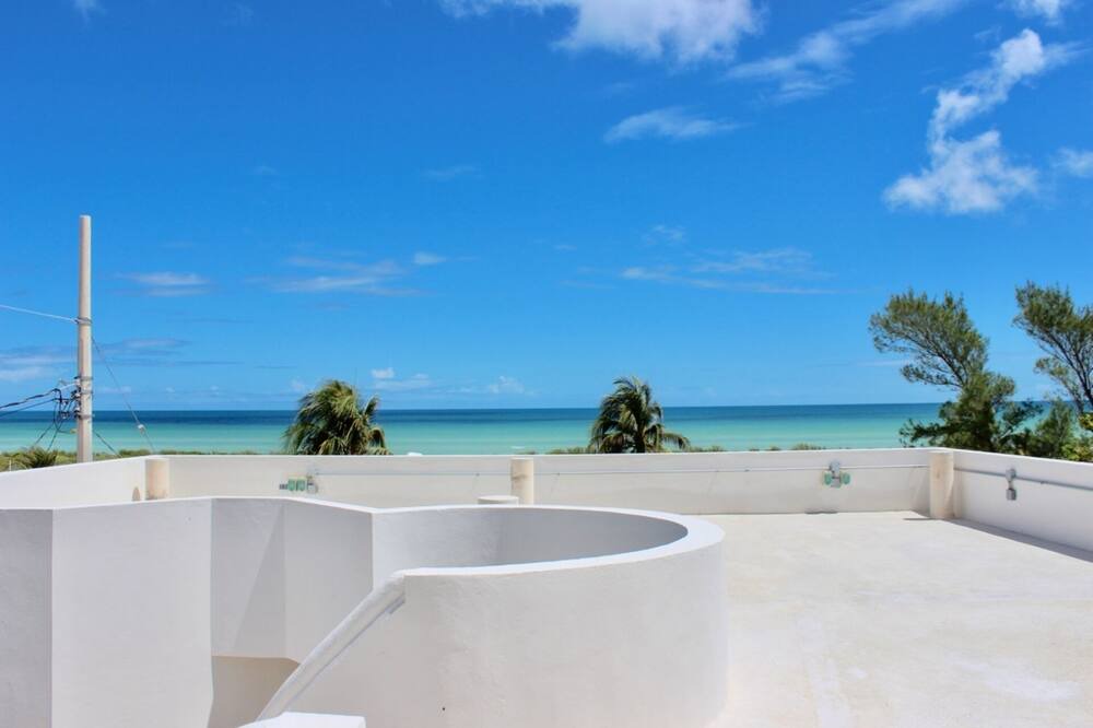 Photo of Others in Sisal