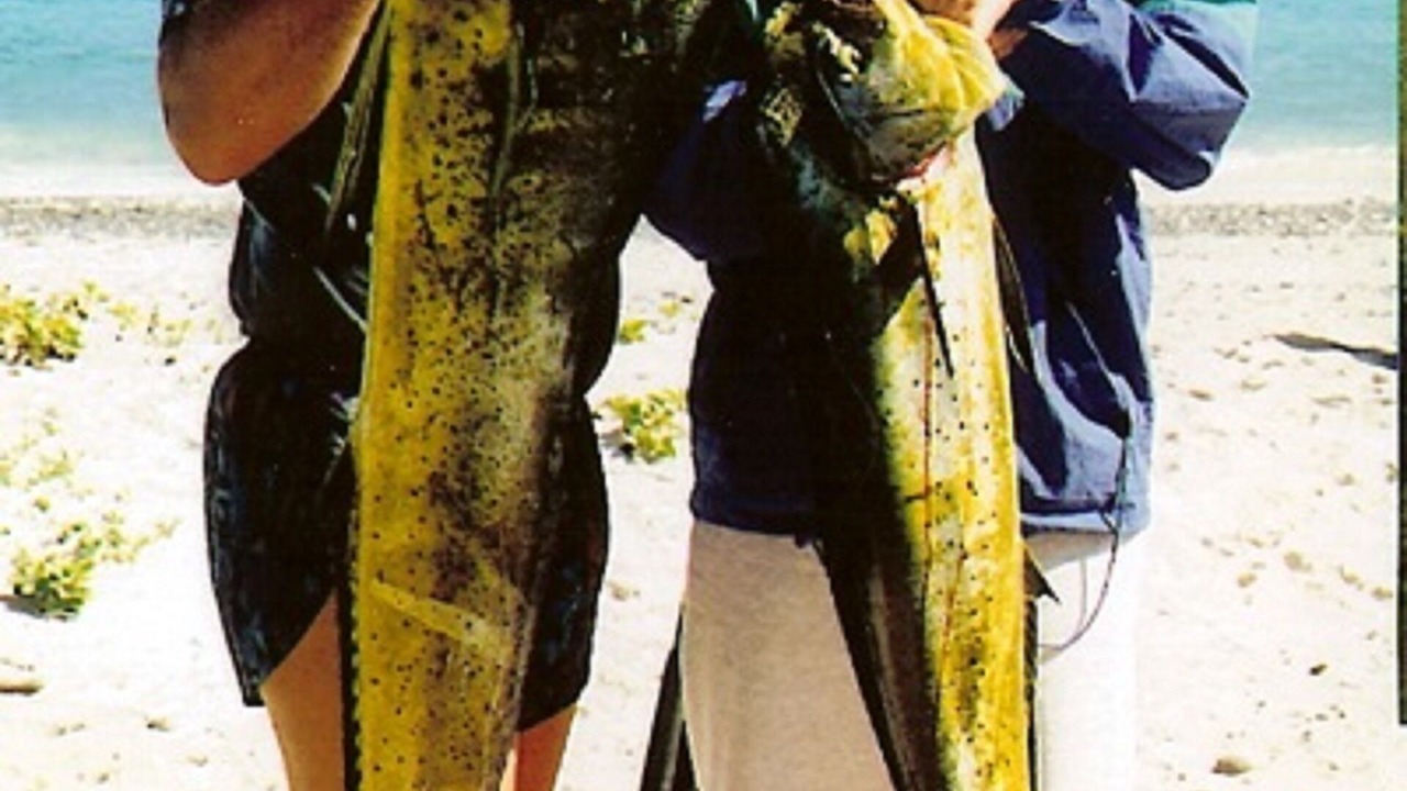 Photo of Others in Cabo Pulmo