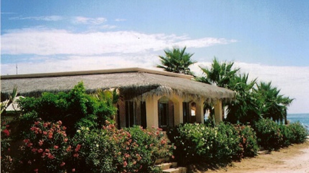 Photo of Outdoor in Cabo Pulmo