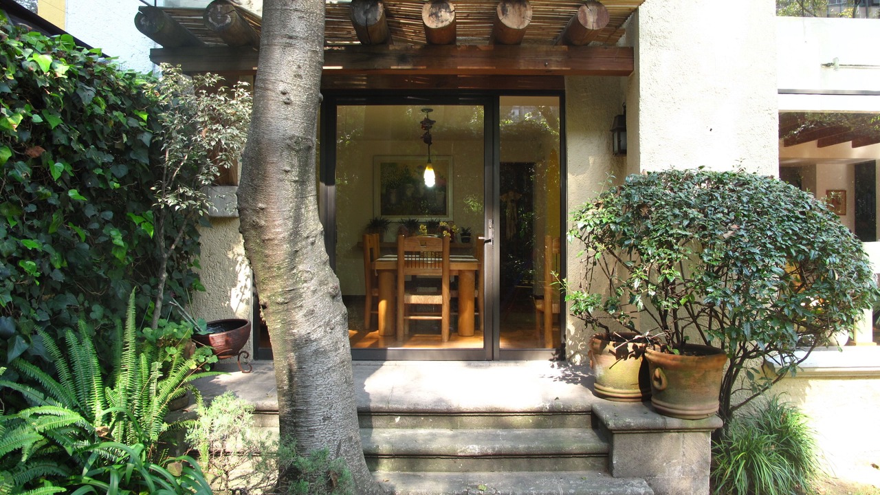 Photo of Outdoor in Alvaro Obregon