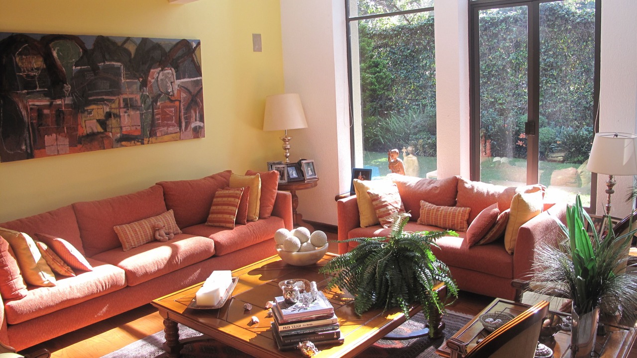 Photo of Livingroom in Alvaro Obregon