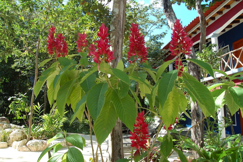 Photo of Others in Benito Juarez