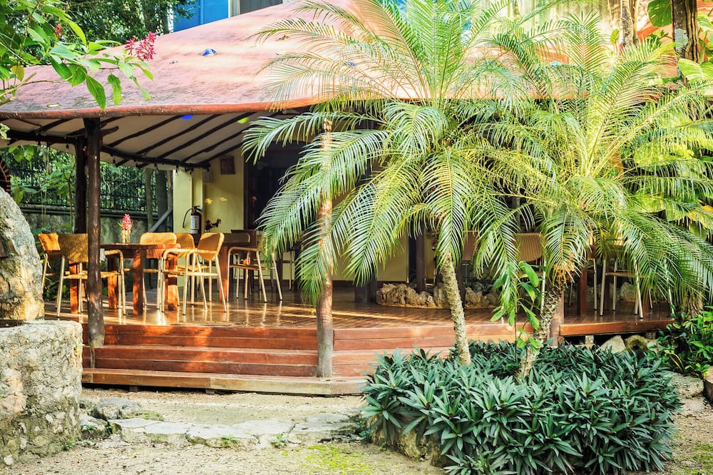 Photo of Outdoor in Benito Juarez