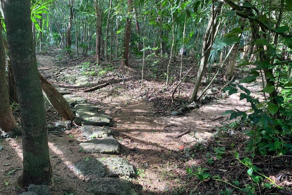 Photo of Outdoor in Benito Juarez