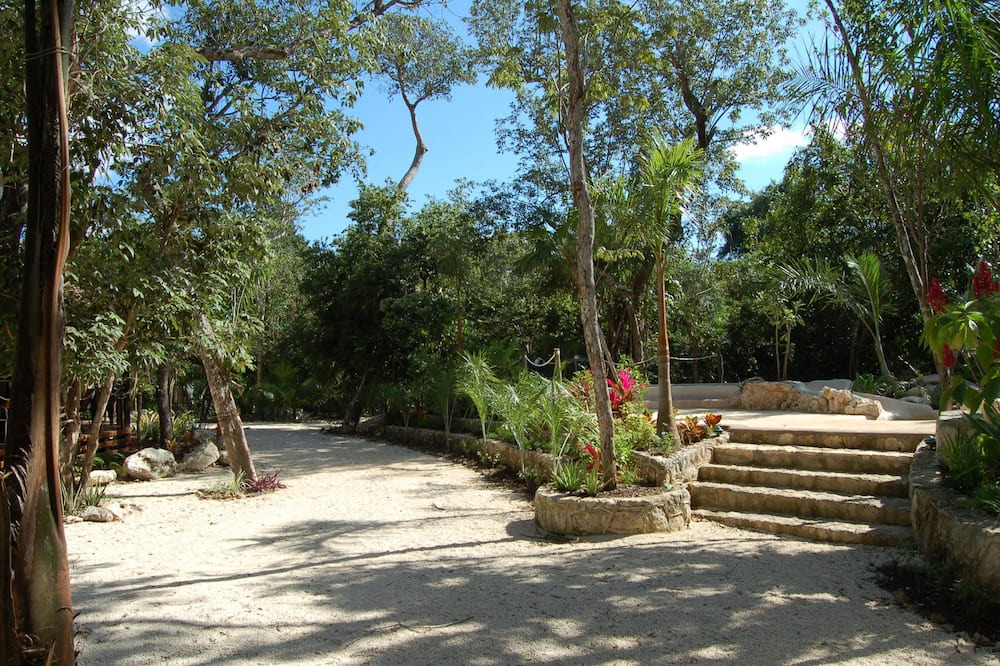 Photo of Outdoor in Benito Juarez